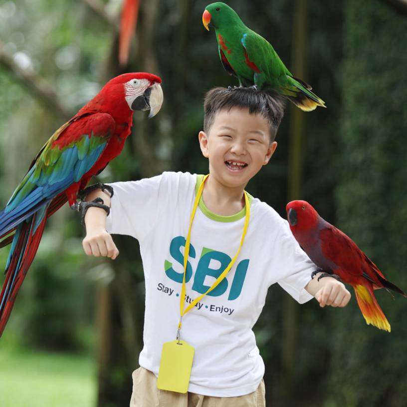 Bali Bird Park